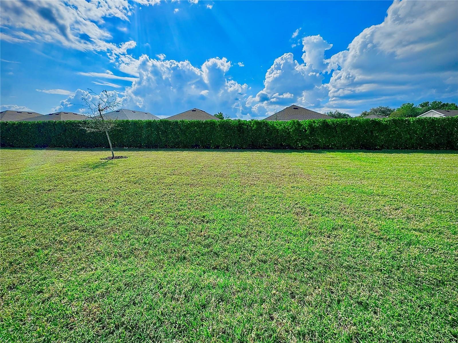 4077 Manatee Lane Punta Gorda FL 33980 D6146620 image6