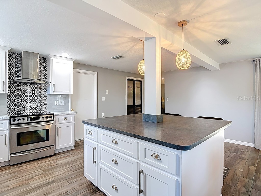 4077 Ramona Drive Spring Hill FL 34606 W7881347 image21