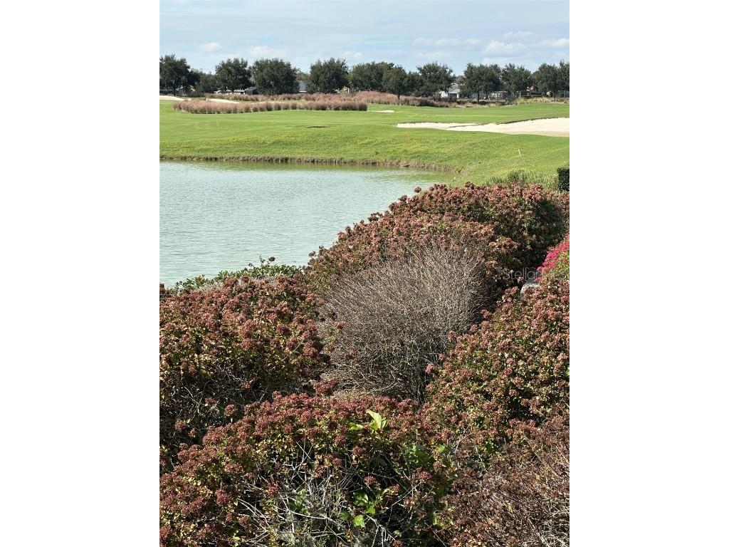 4078 NW 44 Circle Ocala FL 34482 OM715378 image38