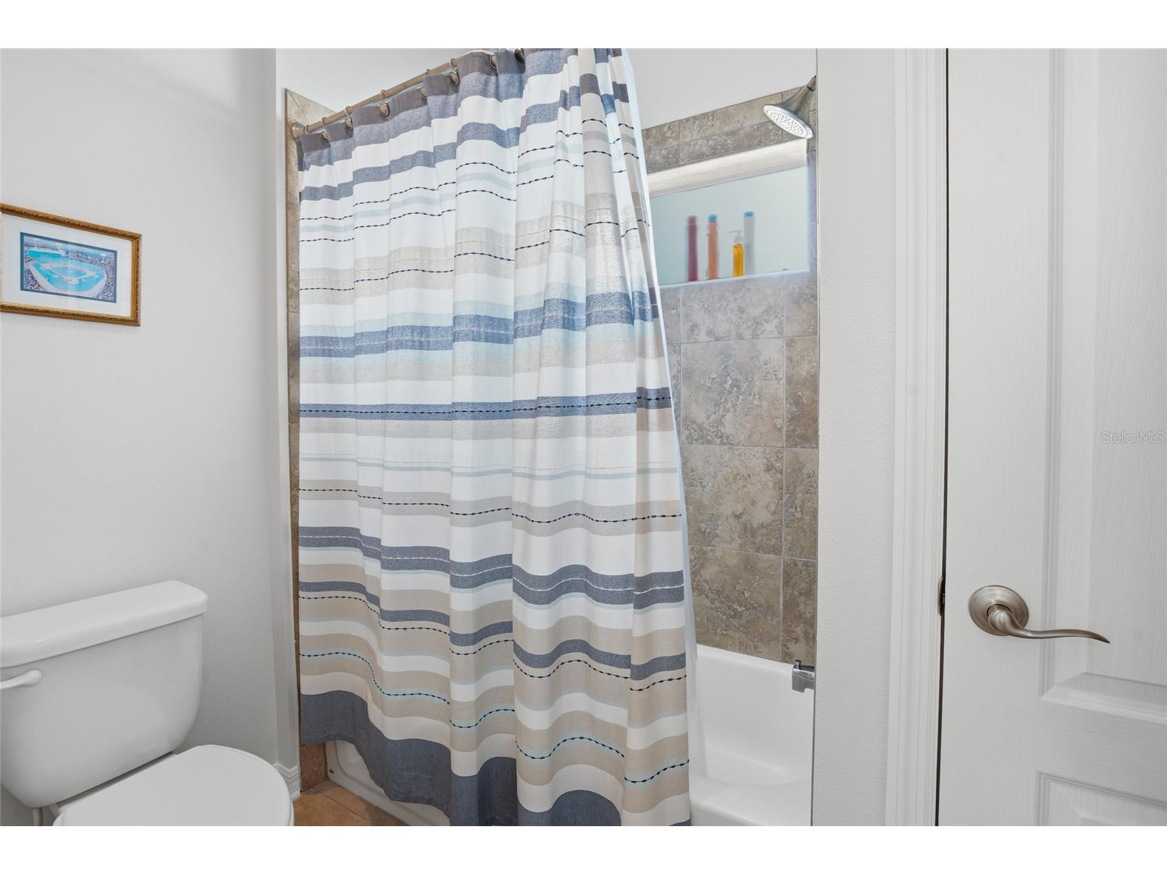 4079 Windcrest Drive Wesley Chapel FL 33544 TB8495759 image35
