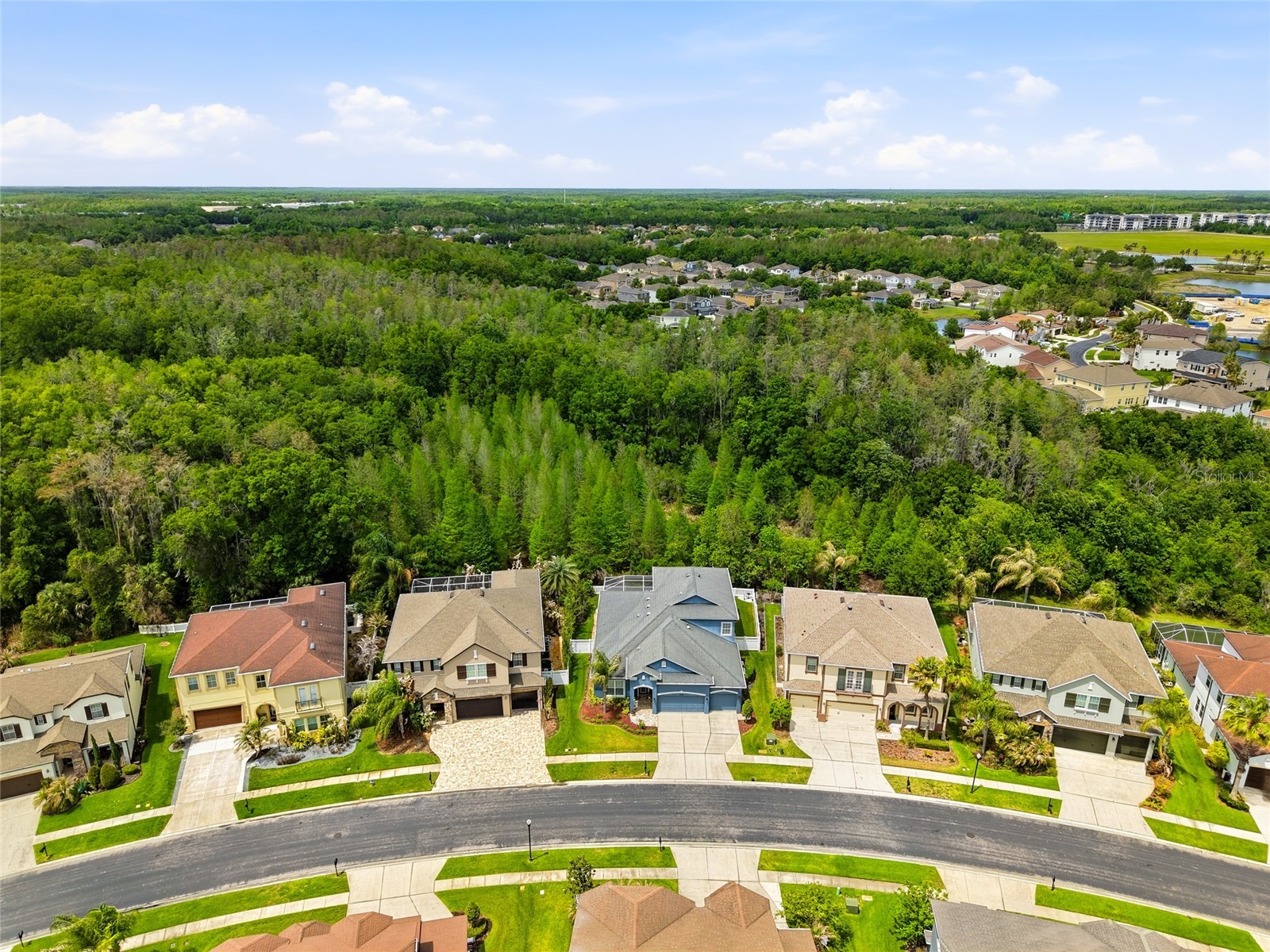 4079 Windcrest Drive Wesley Chapel FL 33544 TB8495759 image47