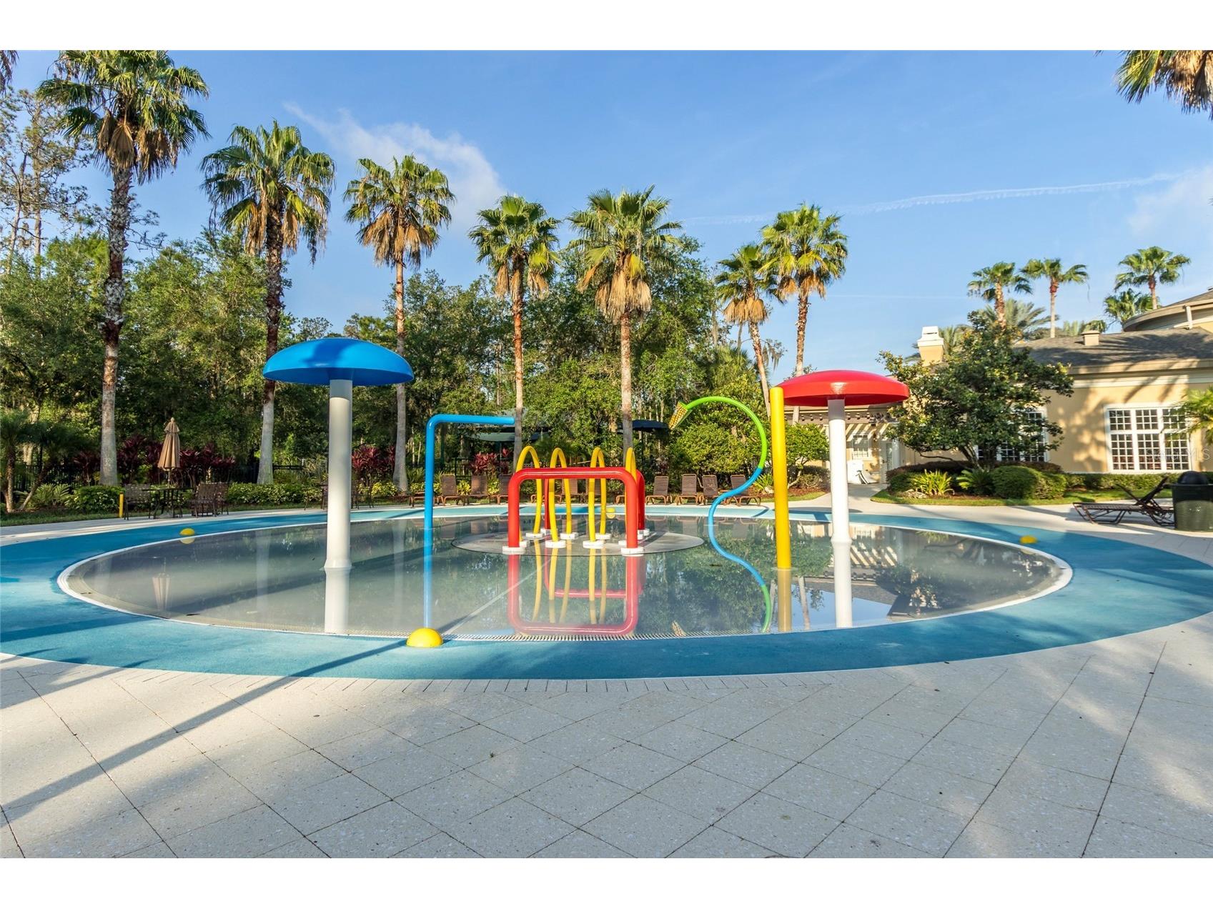 4079 Windcrest Drive Wesley Chapel FL 33544 TB8495759 image59