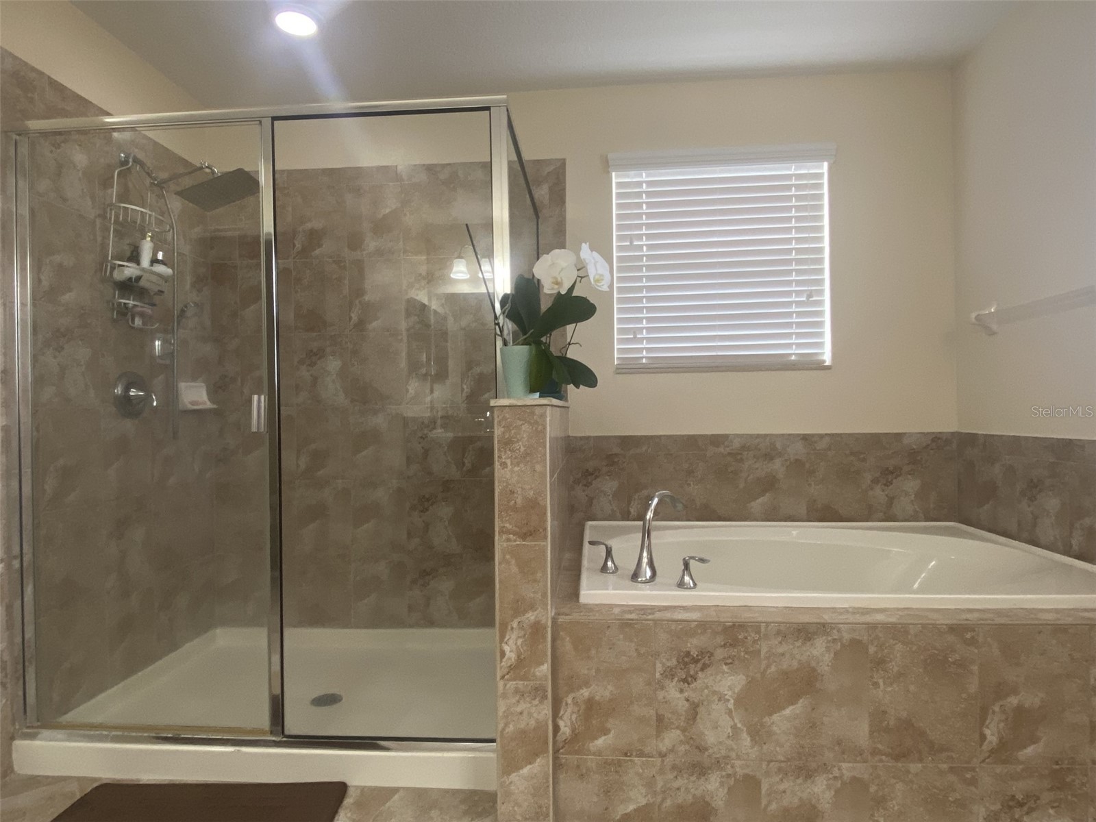 408 19th Street NW Ruskin FL 33570 A4699930 image8