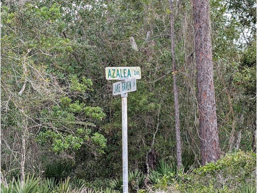 408 Azalea Drive Indian Lake Estates FL 33855 - LAKE WALK-IN-WATER TB8415328 image1