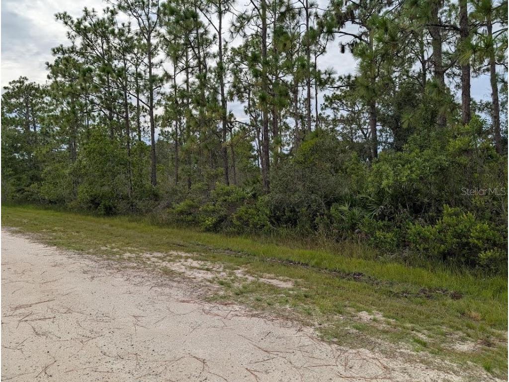 408 Azalea Drive Indian Lake Estates FL 33855 - LAKE WALK-IN-WATER TB8415328 image2