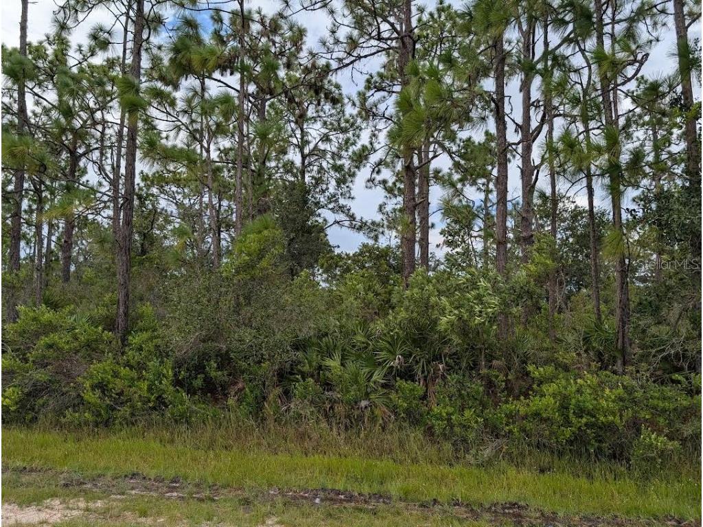 408 Azalea Drive Indian Lake Estates FL 33855 - LAKE WALK-IN-WATER TB8415328 image3