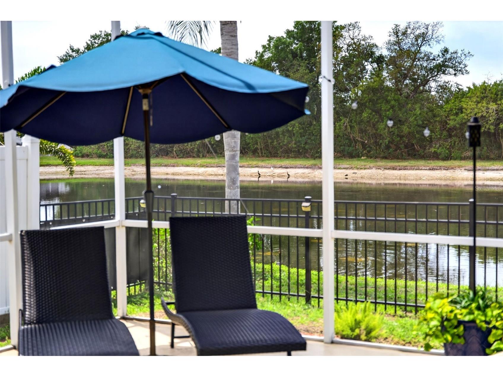 408 Delwood Breck Street Ruskin FL 33570 C7524569 image73