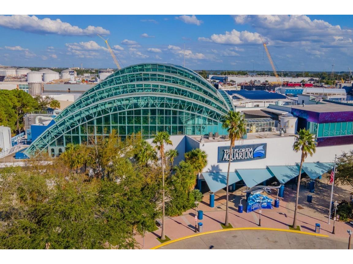 408 E Amelia Avenue Tampa FL 33602 TB8329169 image43