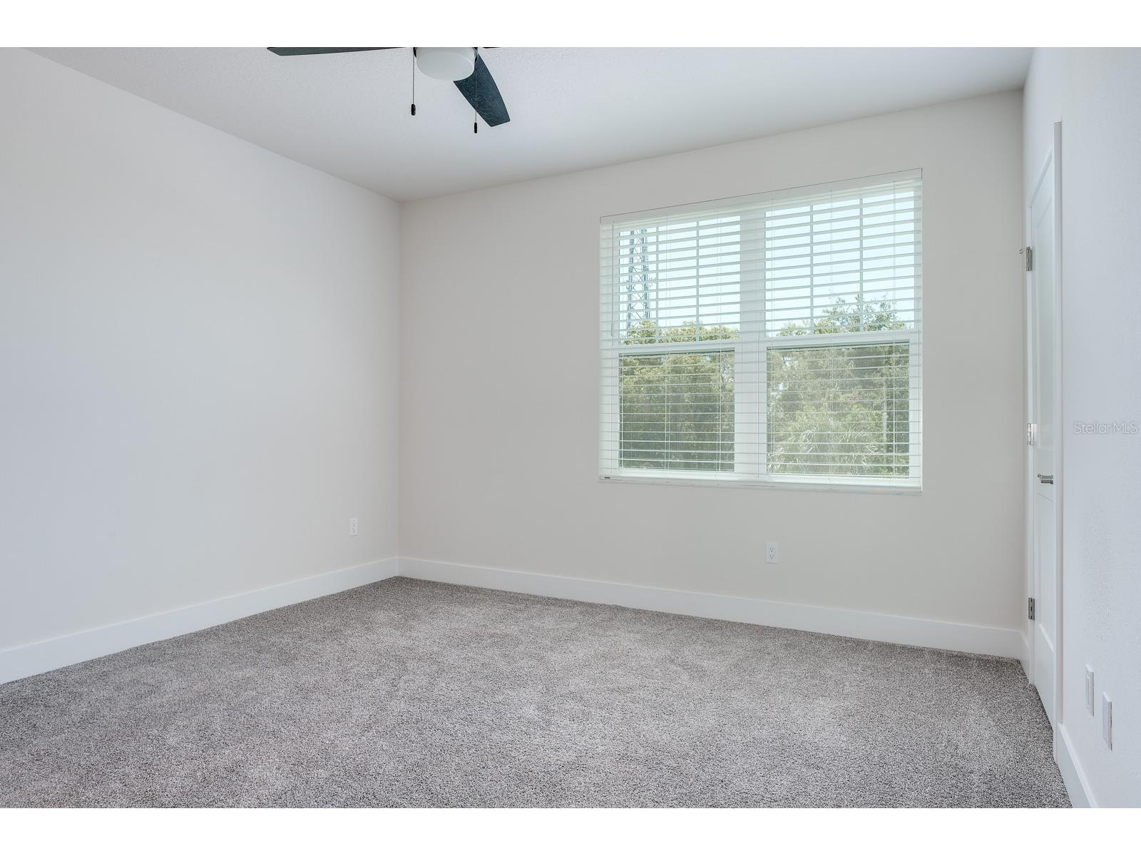 408 Finn Way Dunedin FL 34698 TB8508356 image30