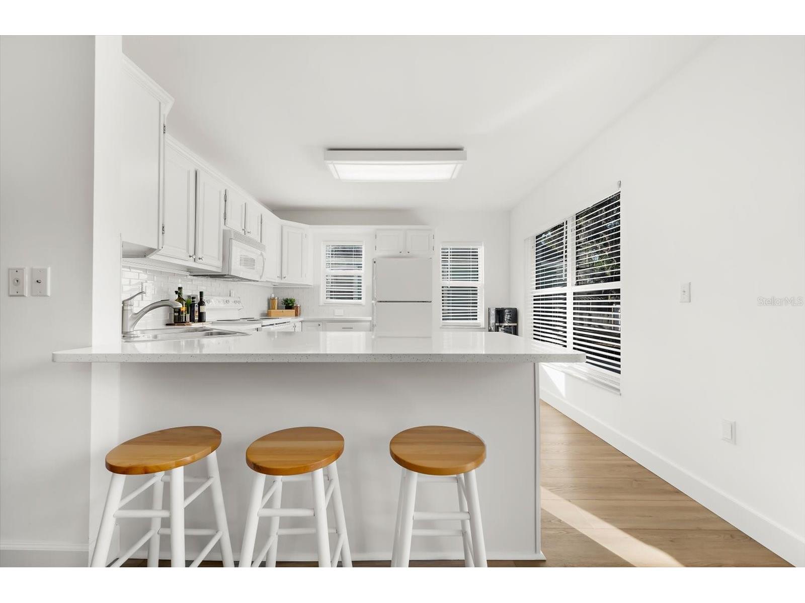 408 Georgia Avenue Crystal Beach FL 34681 TB8479610 image21