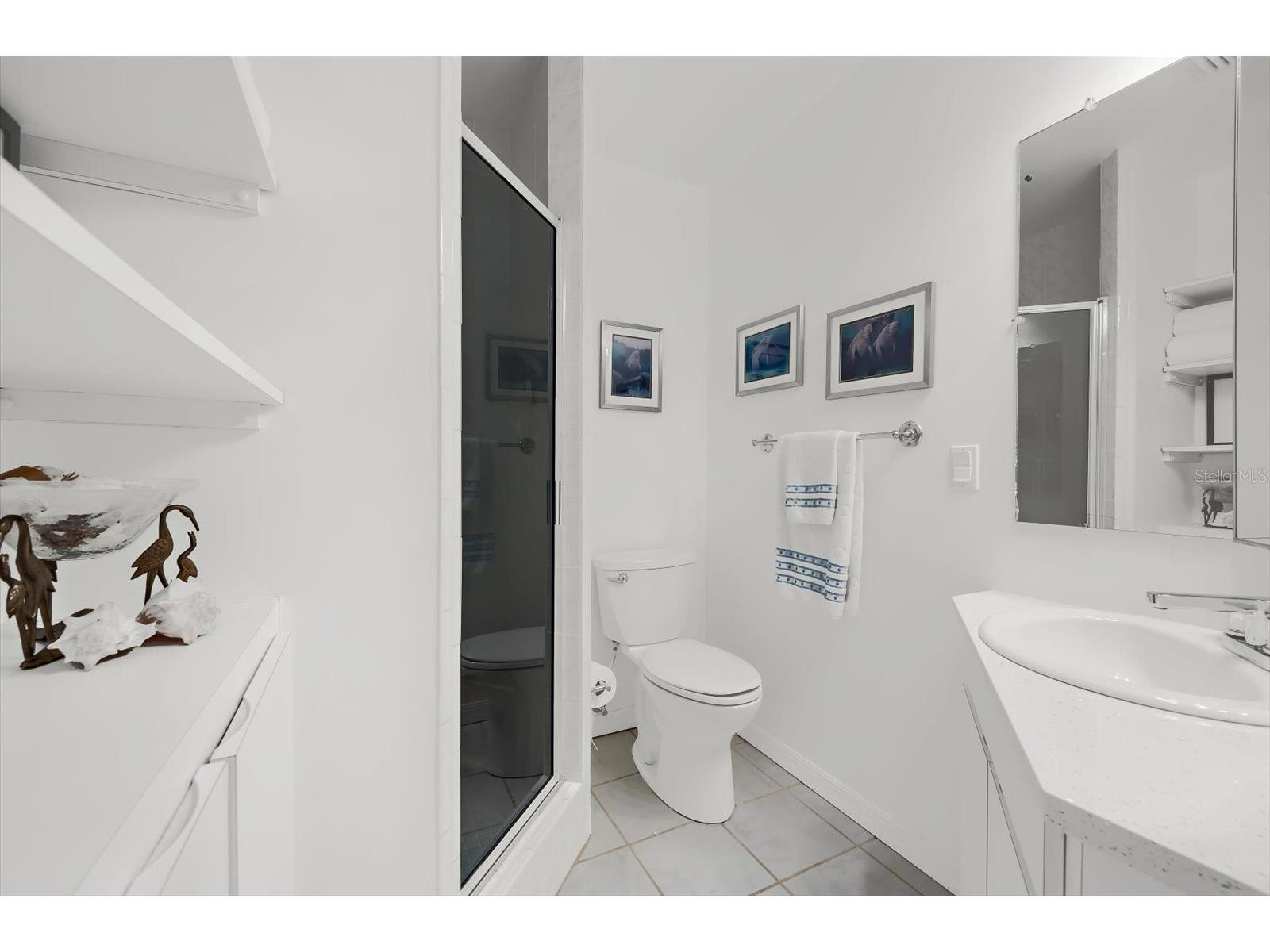 408 Georgia Avenue Crystal Beach FL 34681 TB8479610 image37