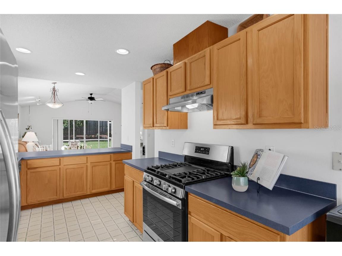 408 Lake Suzanne Drive Lake Wales FL 33859 - LAKE SUZANNE P4935599 image14