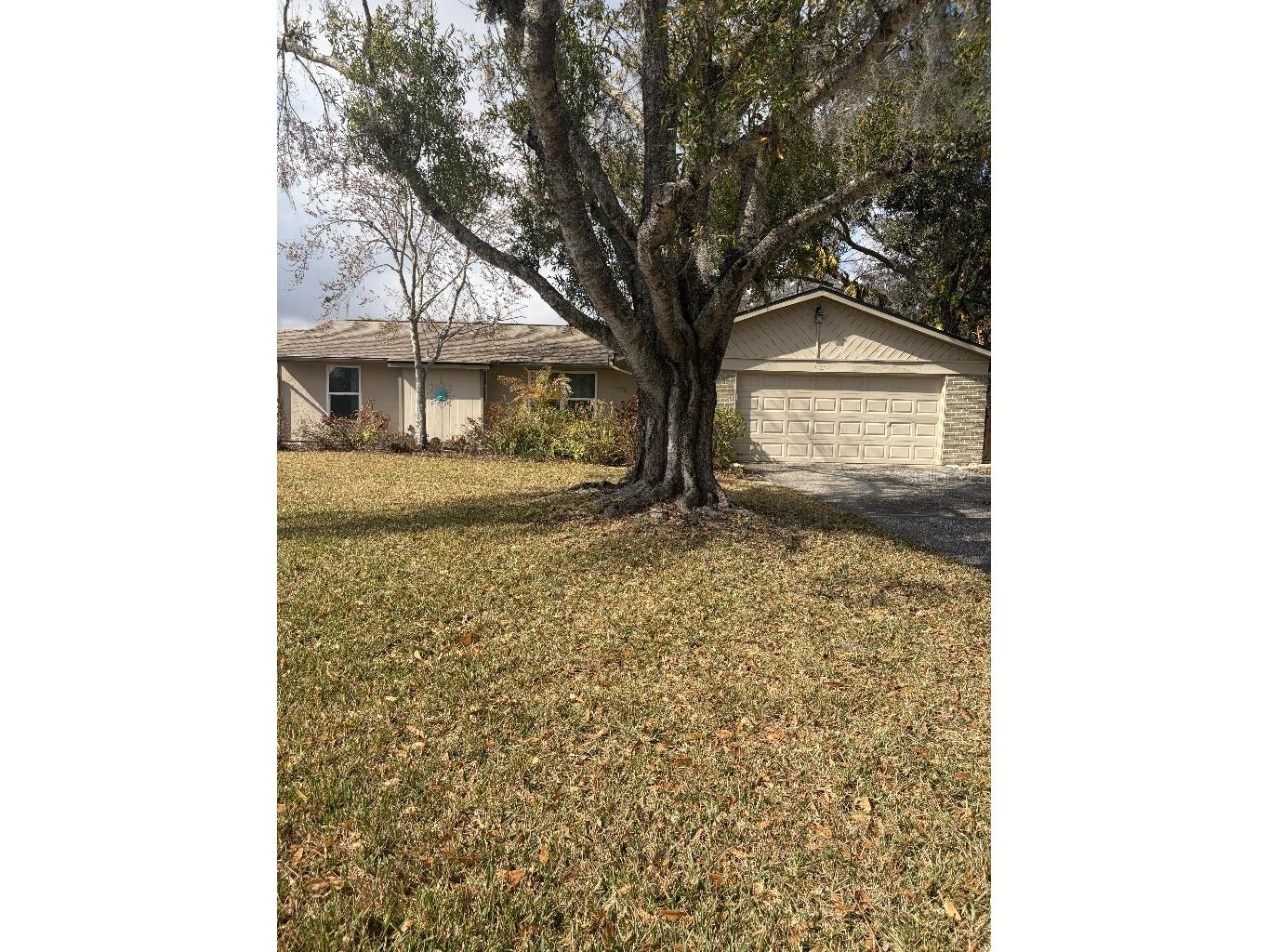 408 Lakeview Drive Oldsmar FL 34677 TB8478309 image2