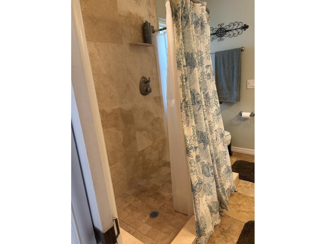 408 Lakeview Drive Oldsmar FL 34677 TB8478309 image20