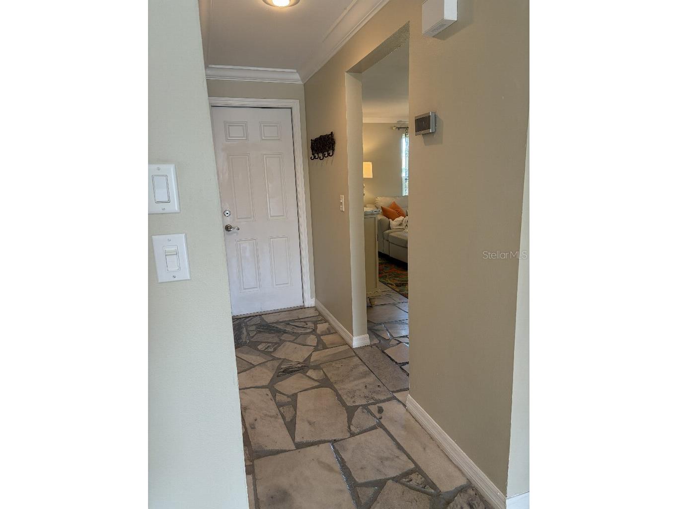 408 Lakeview Drive Oldsmar FL 34677 TB8478309 image24