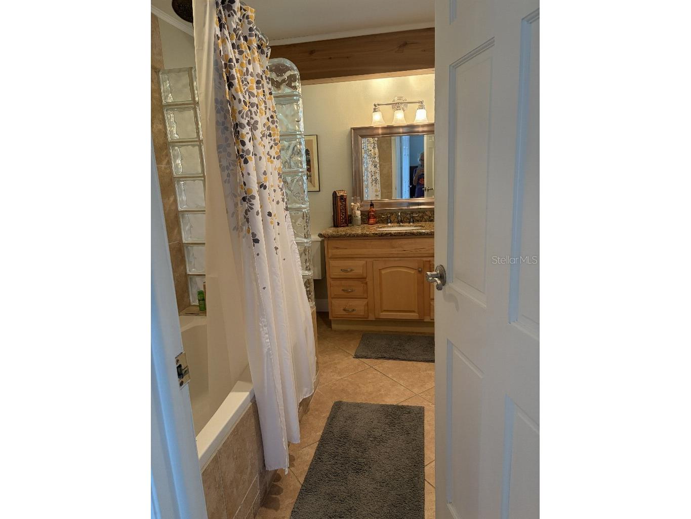 408 Lakeview Drive Oldsmar FL 34677 TB8478309 image26