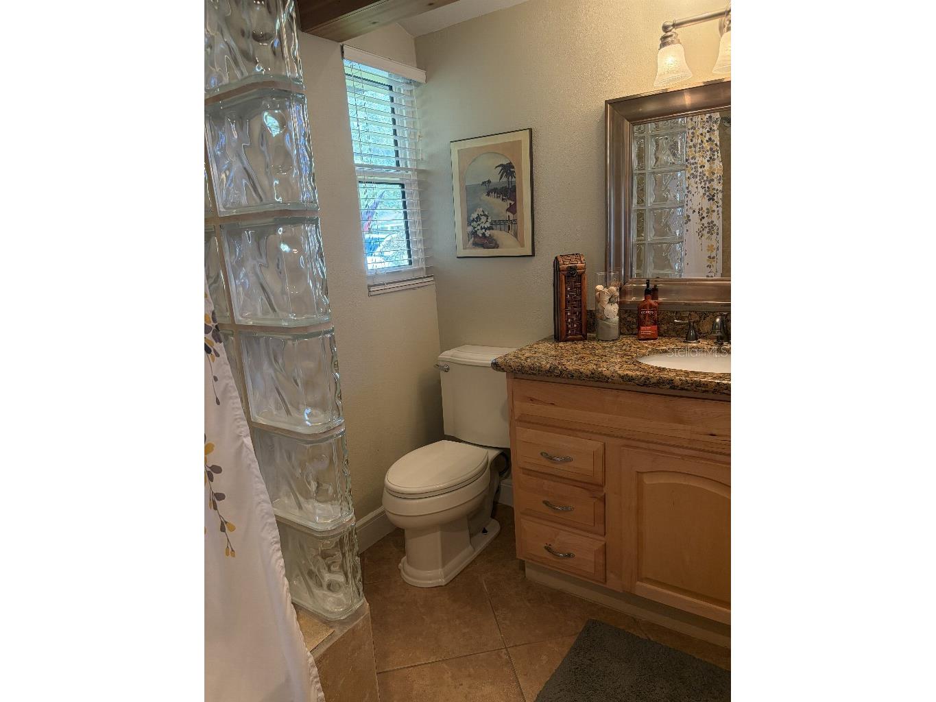 408 Lakeview Drive Oldsmar FL 34677 TB8478309 image27