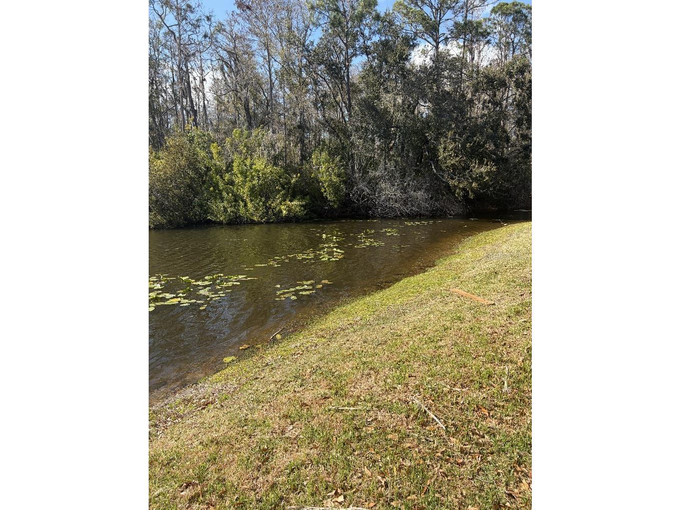 408 Lakeview Drive Oldsmar FL 34677 TB8478309 image42