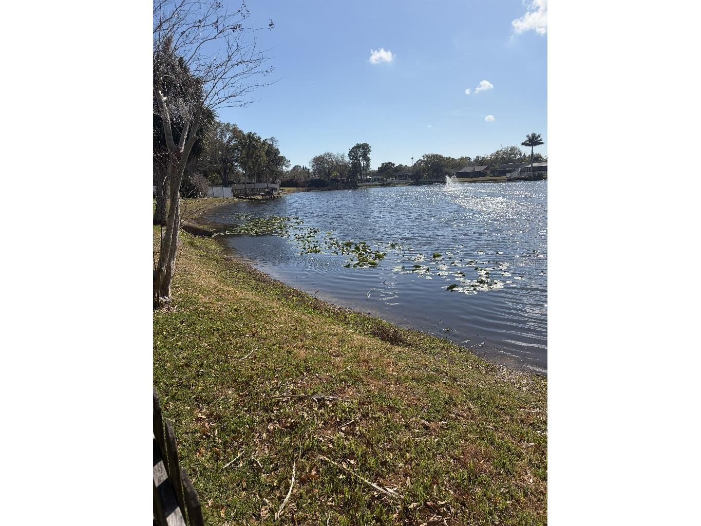 408 Lakeview Drive Oldsmar FL 34677 TB8478309 image43