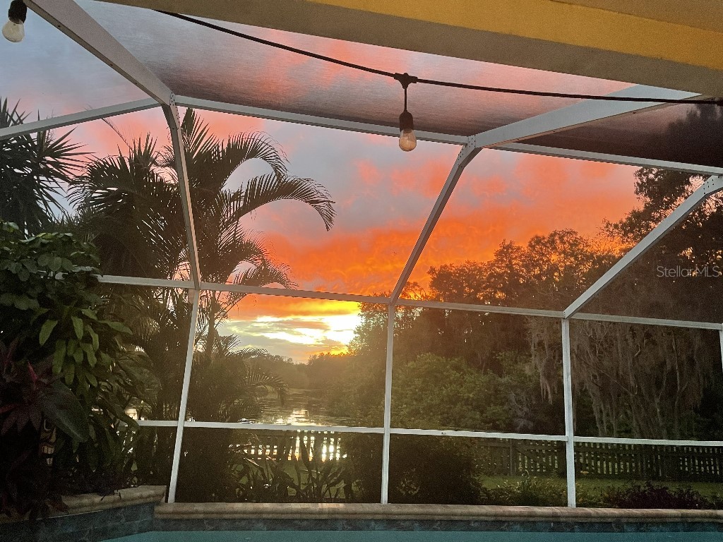 408 Lakeview Drive Oldsmar FL 34677 TB8478309 image44