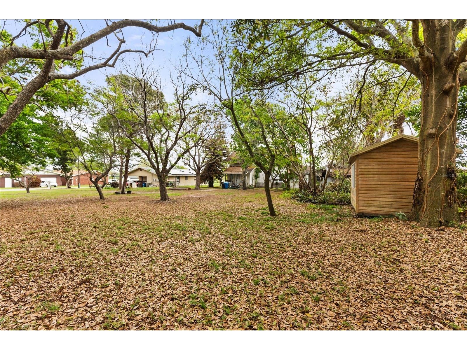 408 Mckay Drive Haines City FL 33844 O6383008 image4