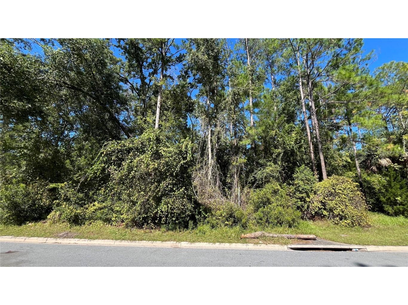 408 NE 42nd Place Gainesville FL 32609 O6356934 image3