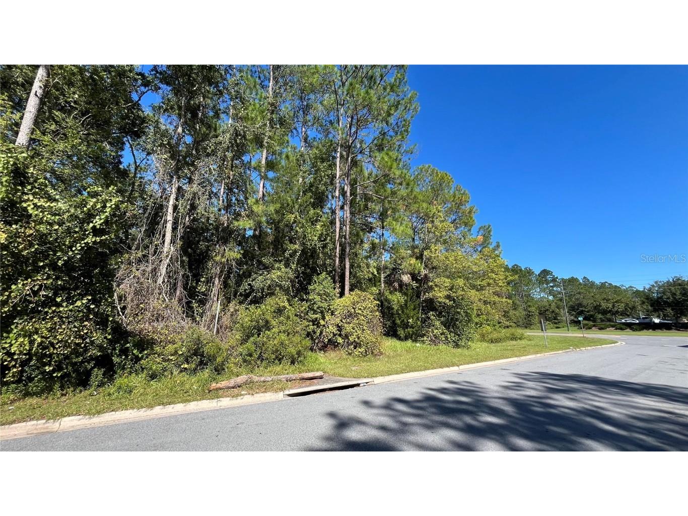 408 NE 42nd Place Gainesville FL 32609 O6356934 image4