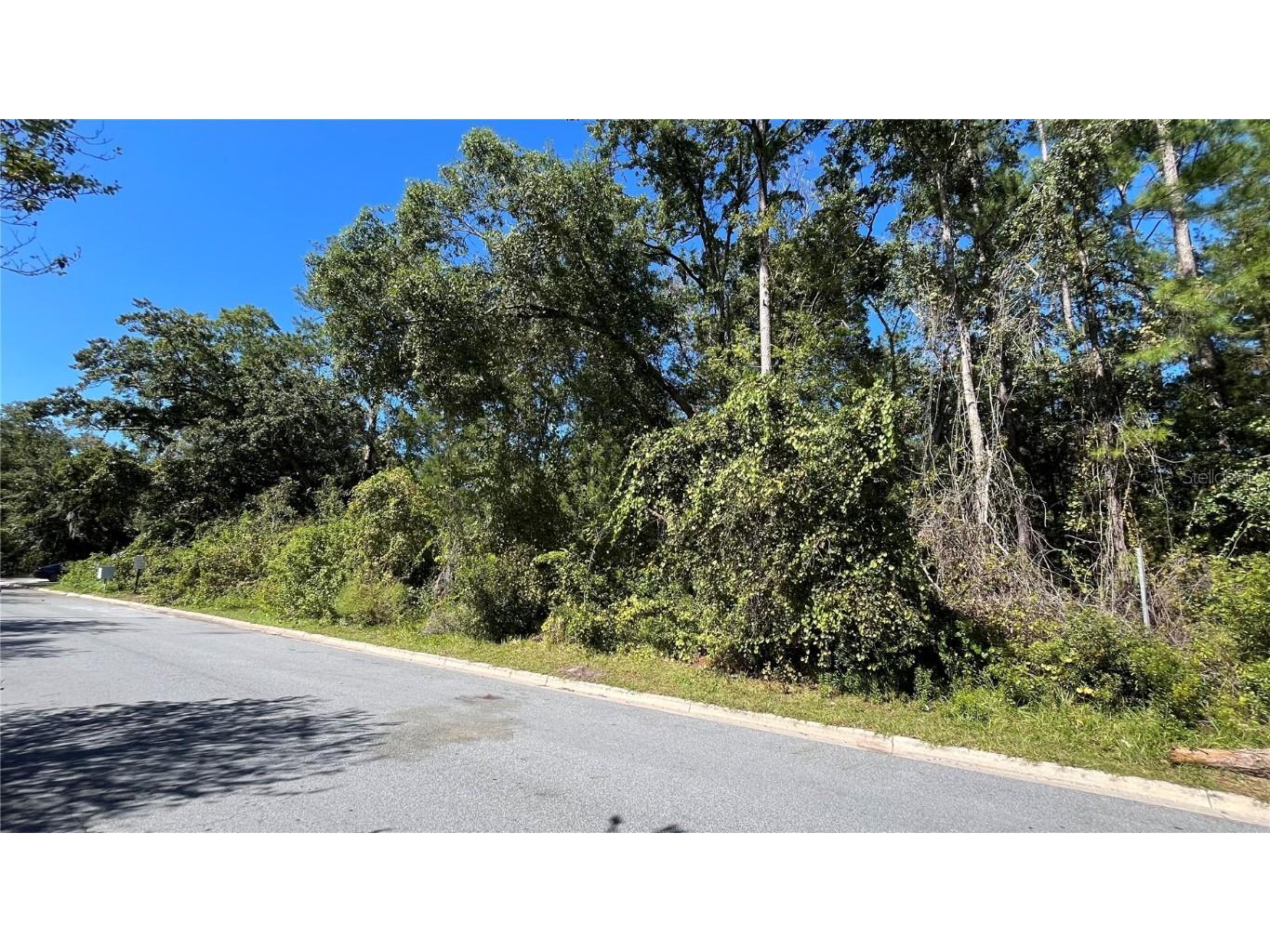 408 NE 42nd Place Gainesville FL 32609 O6356934 image5