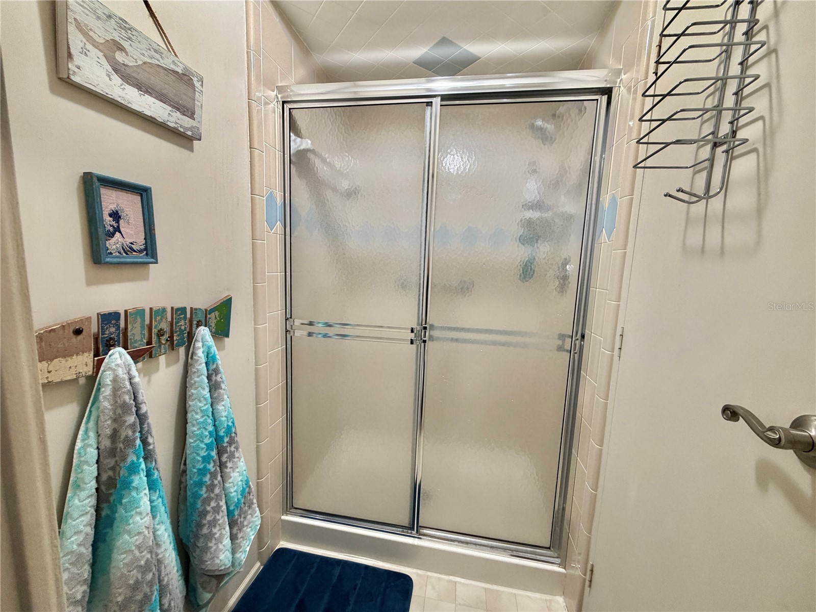 408 Palo Verde Drive Leesburg FL 34748 G5109801 image40