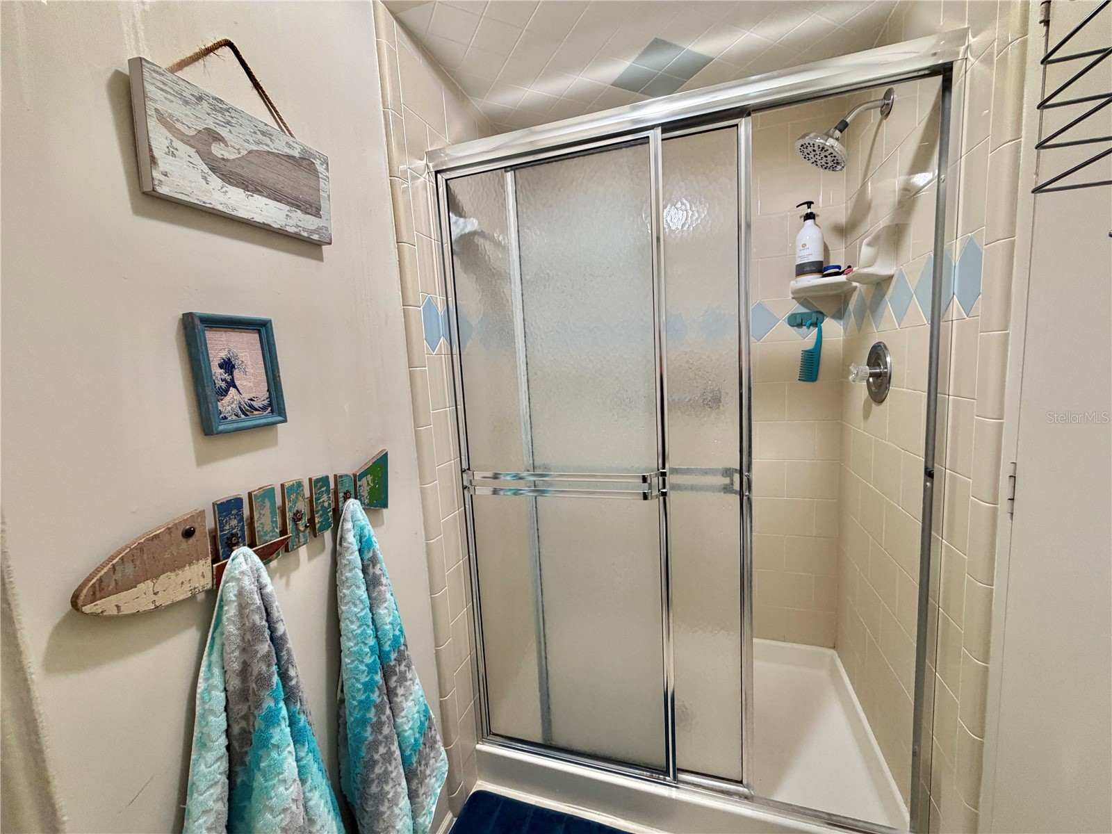 408 Palo Verde Drive Leesburg FL 34748 G5109801 image41