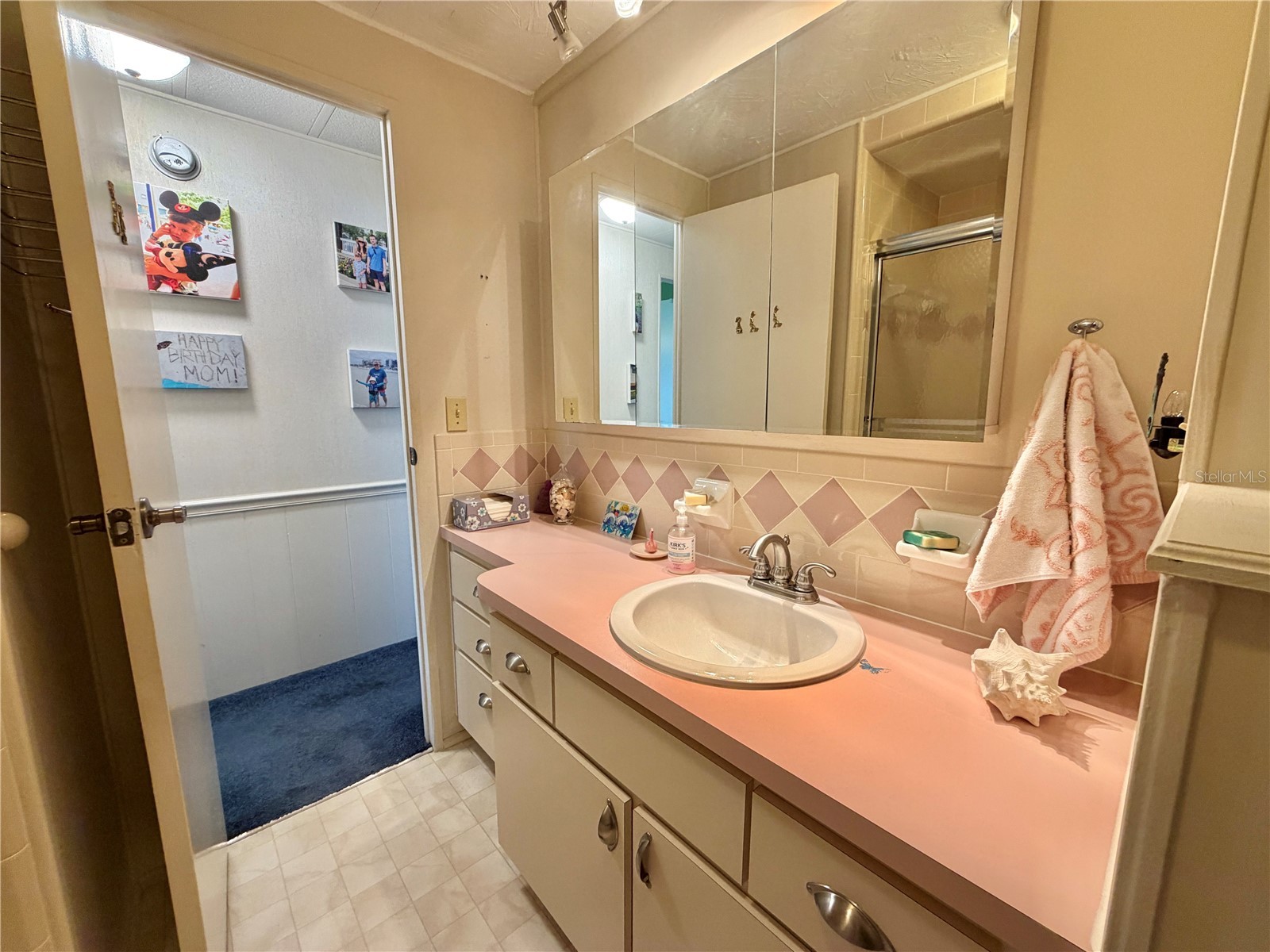 408 Palo Verde Drive Leesburg FL 34748 G5109801 image43