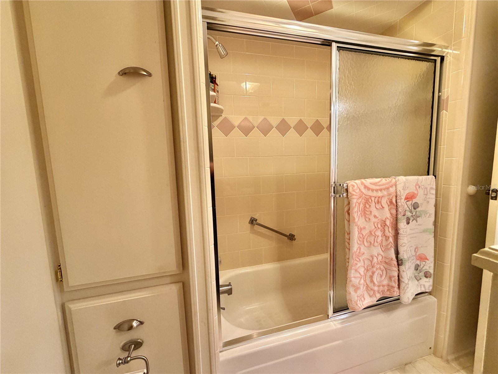 408 Palo Verde Drive Leesburg FL 34748 G5109801 image46