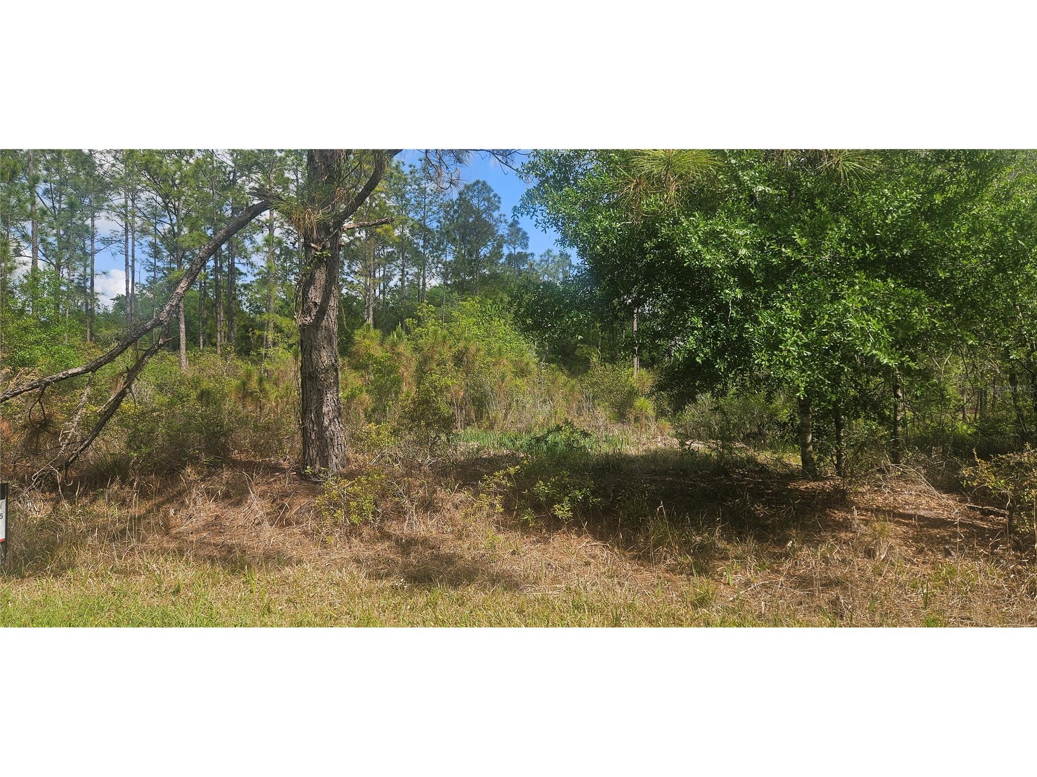 408 Pandora Drive Indian Lake Estates FL 33855 P4937720 image2