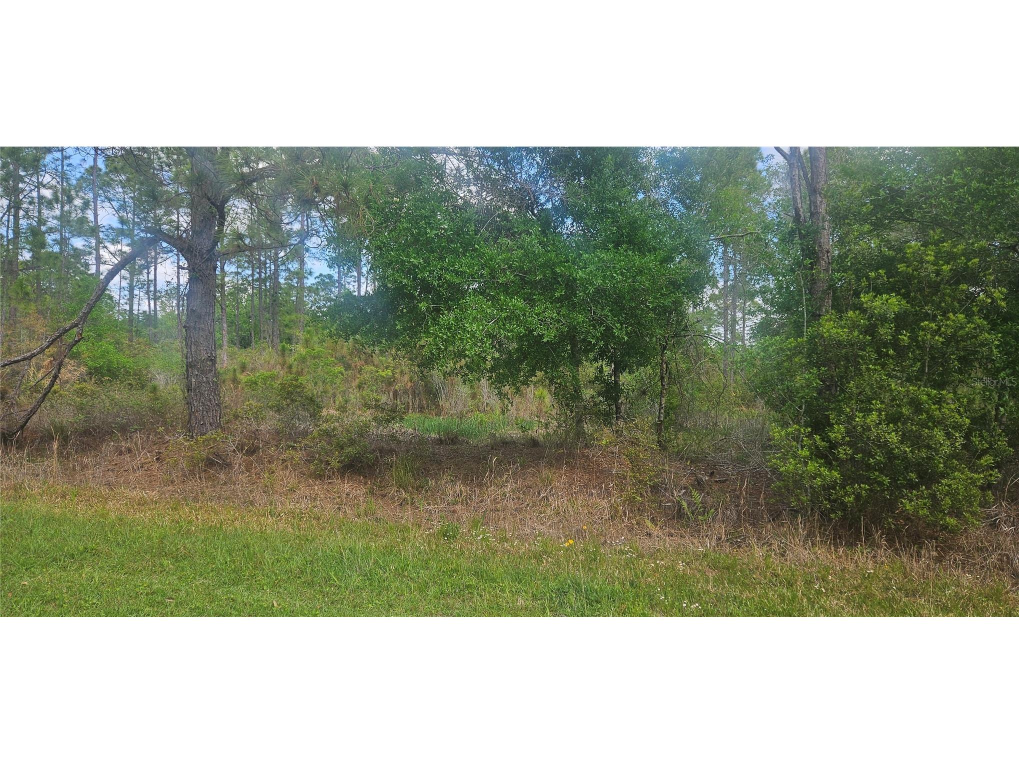 408 Pandora Drive Indian Lake Estates FL 33855 P4937720 image3