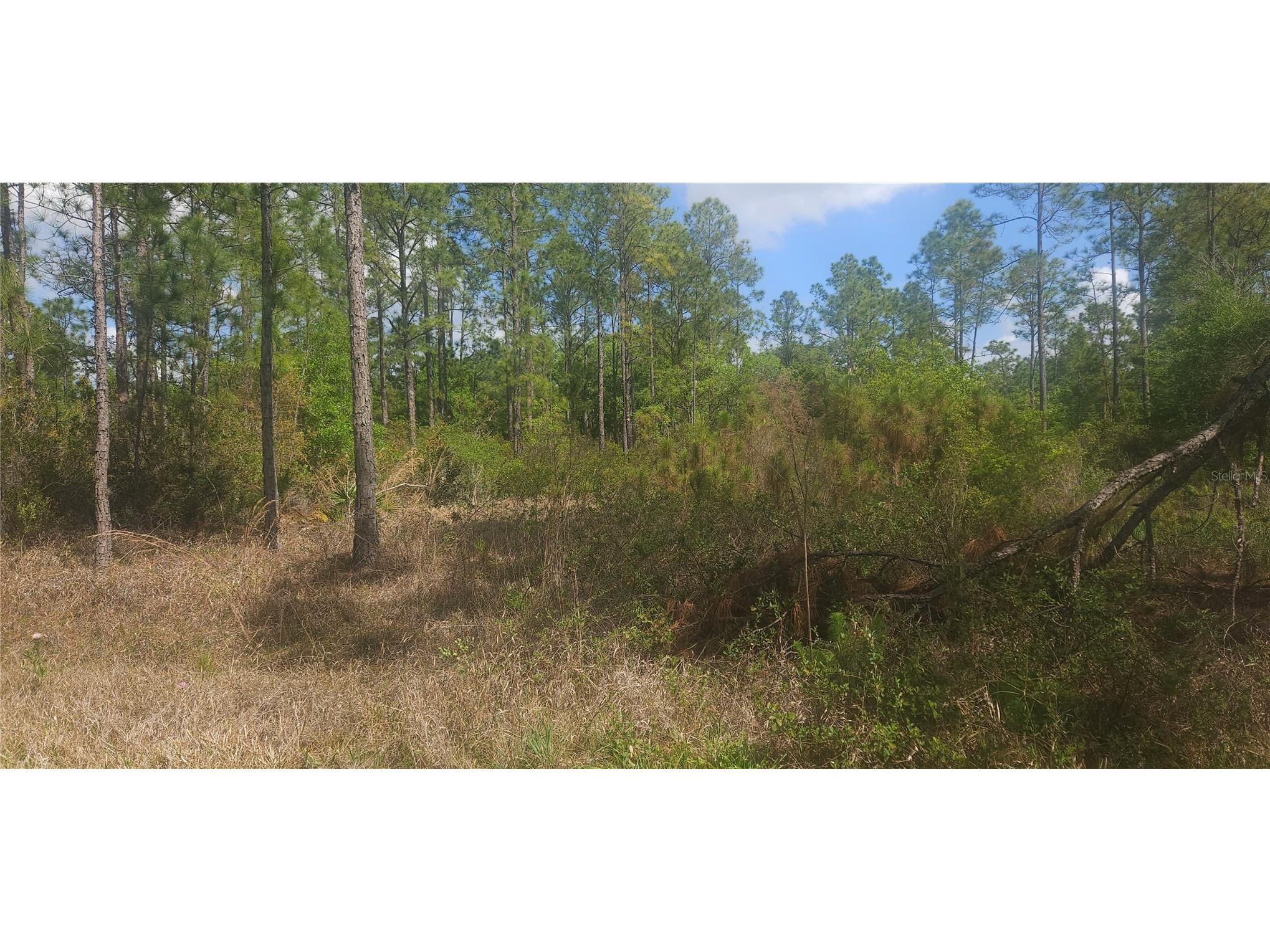 408 Pandora Drive Indian Lake Estates FL 33855 P4937720 image4