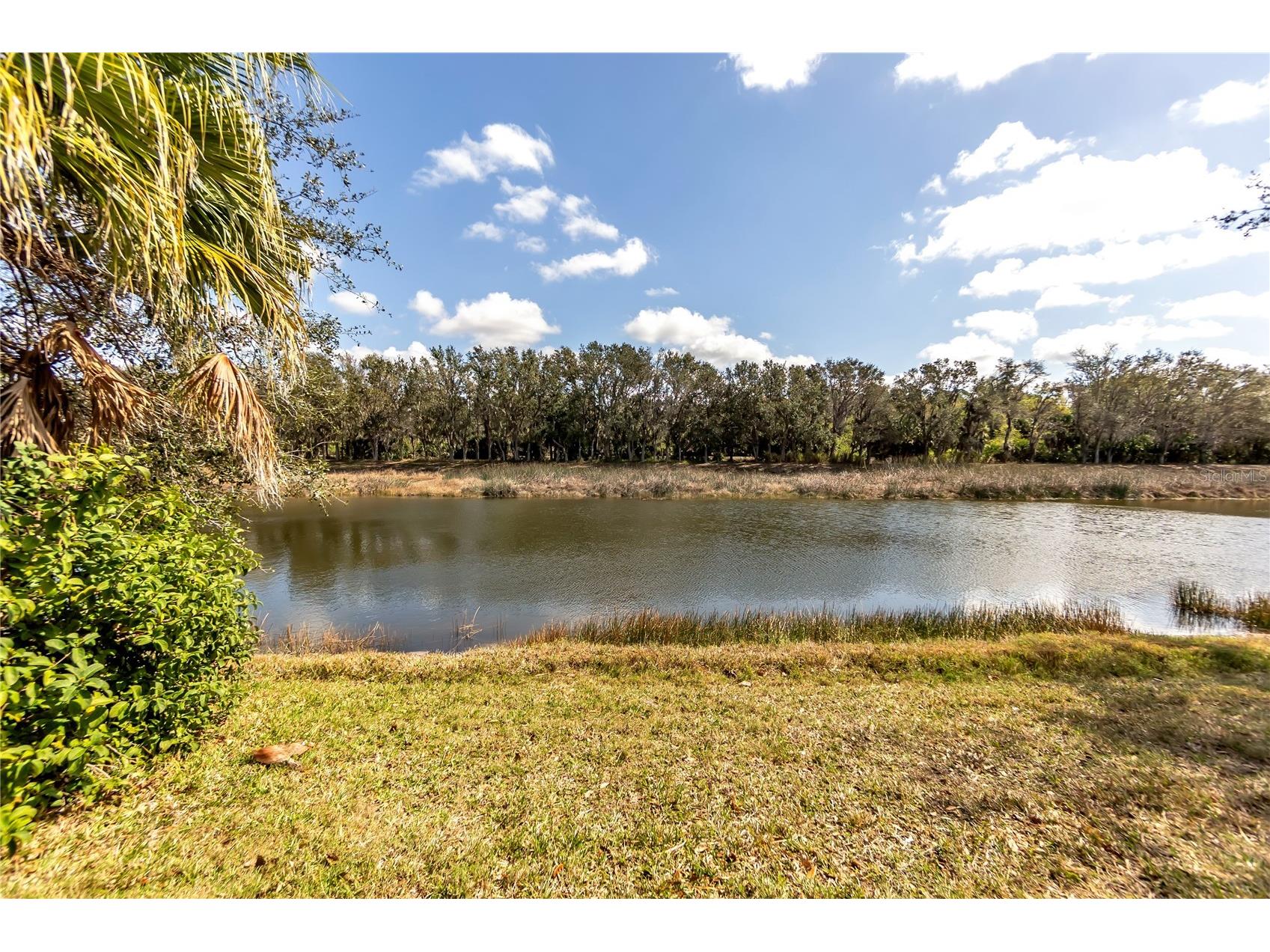 408 Park Trace Boulevard Osprey FL 34229 A4685004 image26