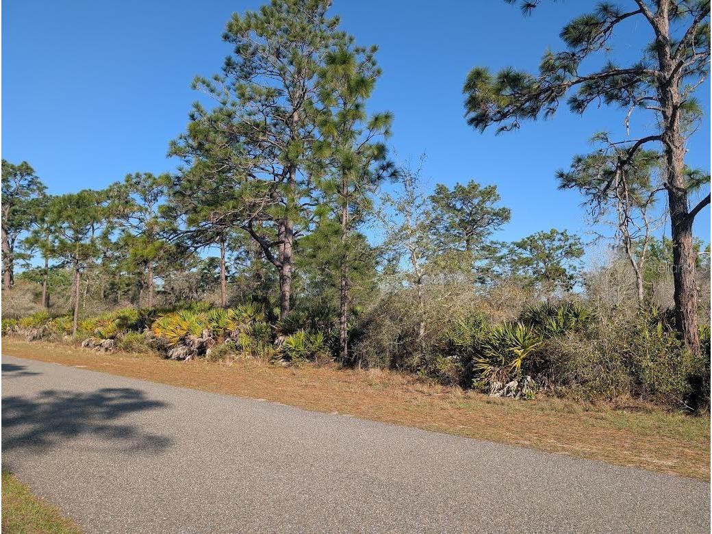 408 Poinciana Drive Indian Lake Estates FL 33855 - LAKE WALK-IN-WATER P4938143 image2