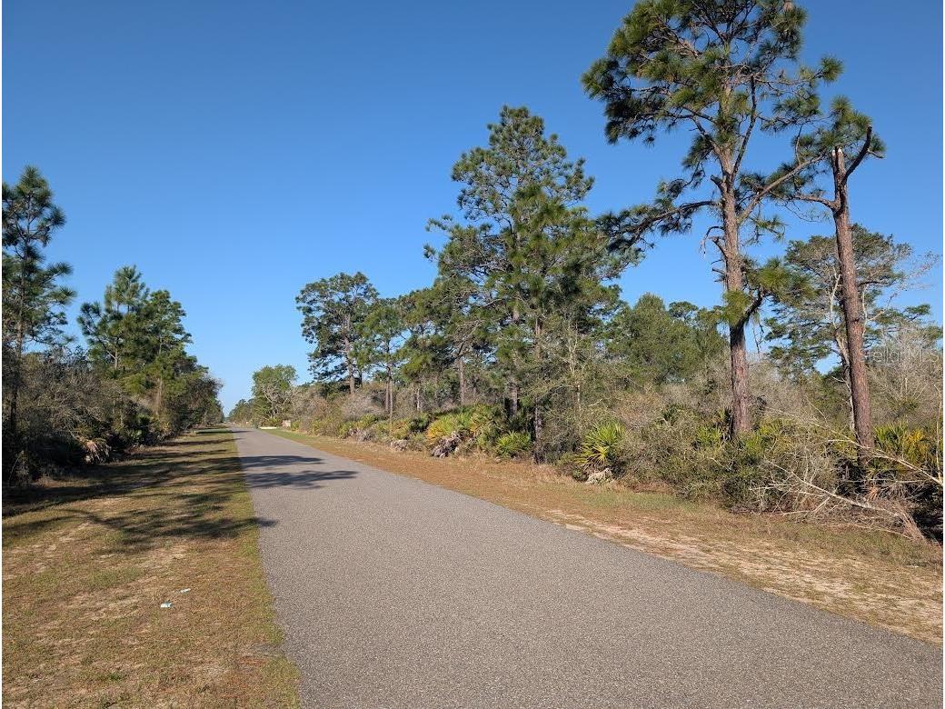 408 Poinciana Drive Indian Lake Estates FL 33855 - LAKE WALK-IN-WATER P4938143 image6