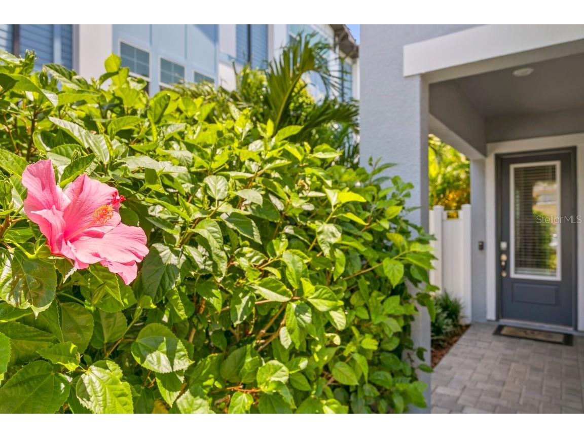 408 S Matanzas Avenue #1 Tampa FL 33609 TB8400451 image4