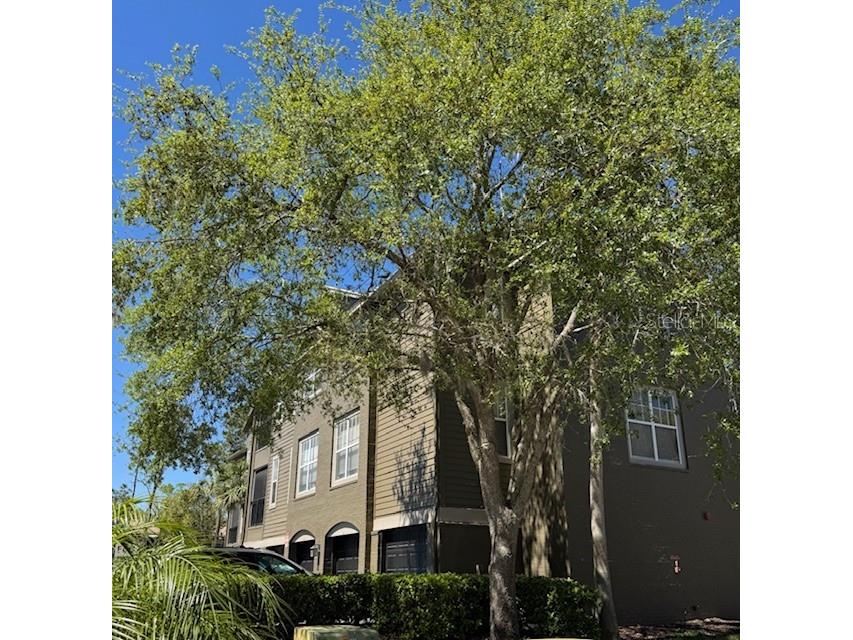 408 Summit Ridge Place #304 Longwood FL 32779 G5094886 image1