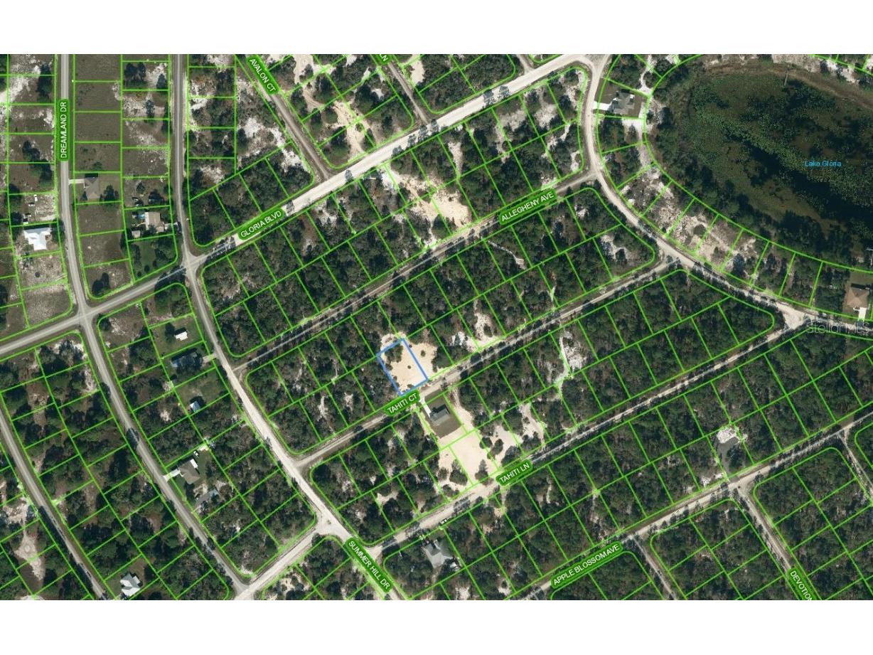 408 Tahiti Court Lake Placid FL 33852 OM624329 image1