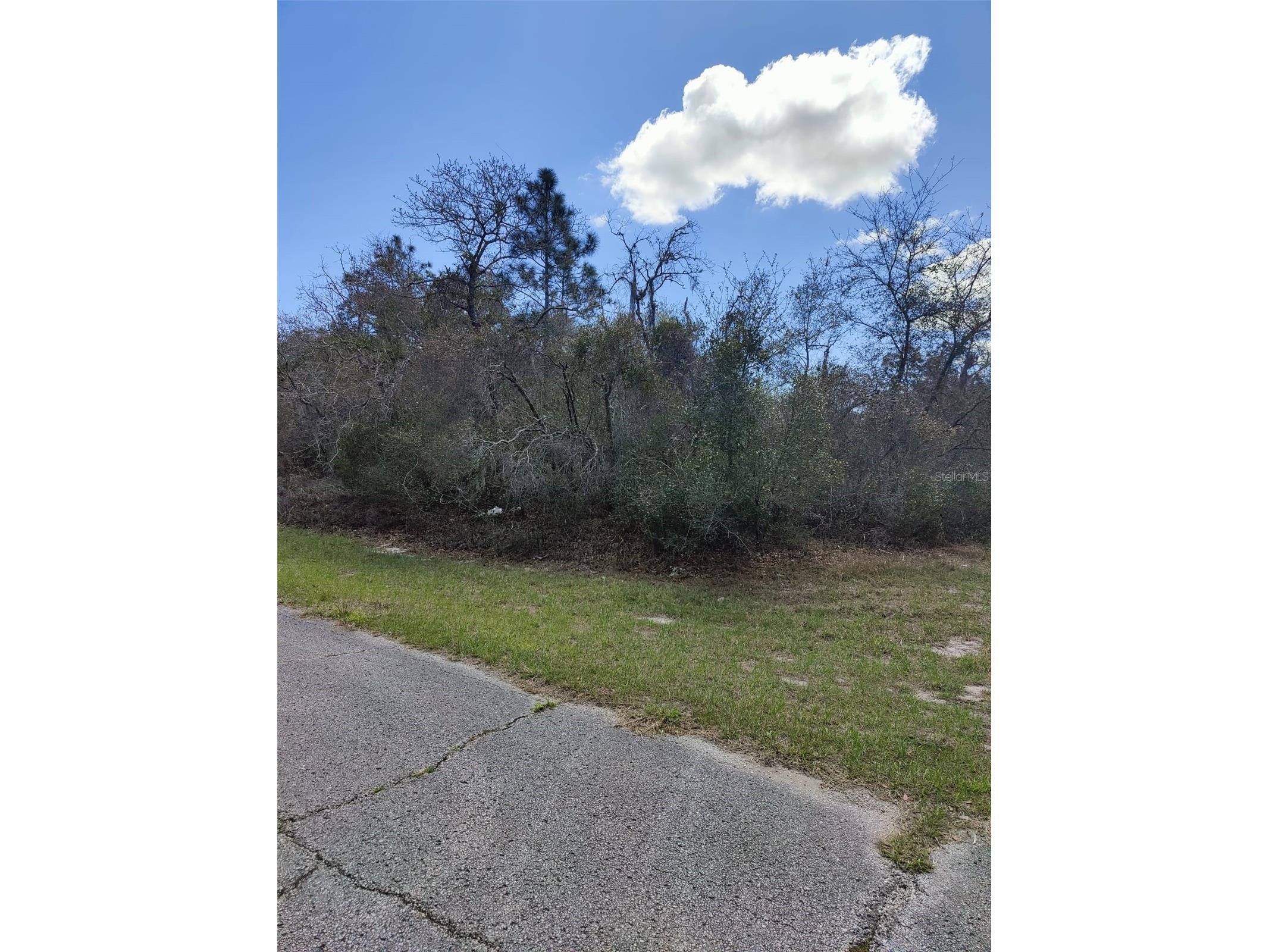 408 Vernon Court Kissimmee FL 34759 S5150086 image1