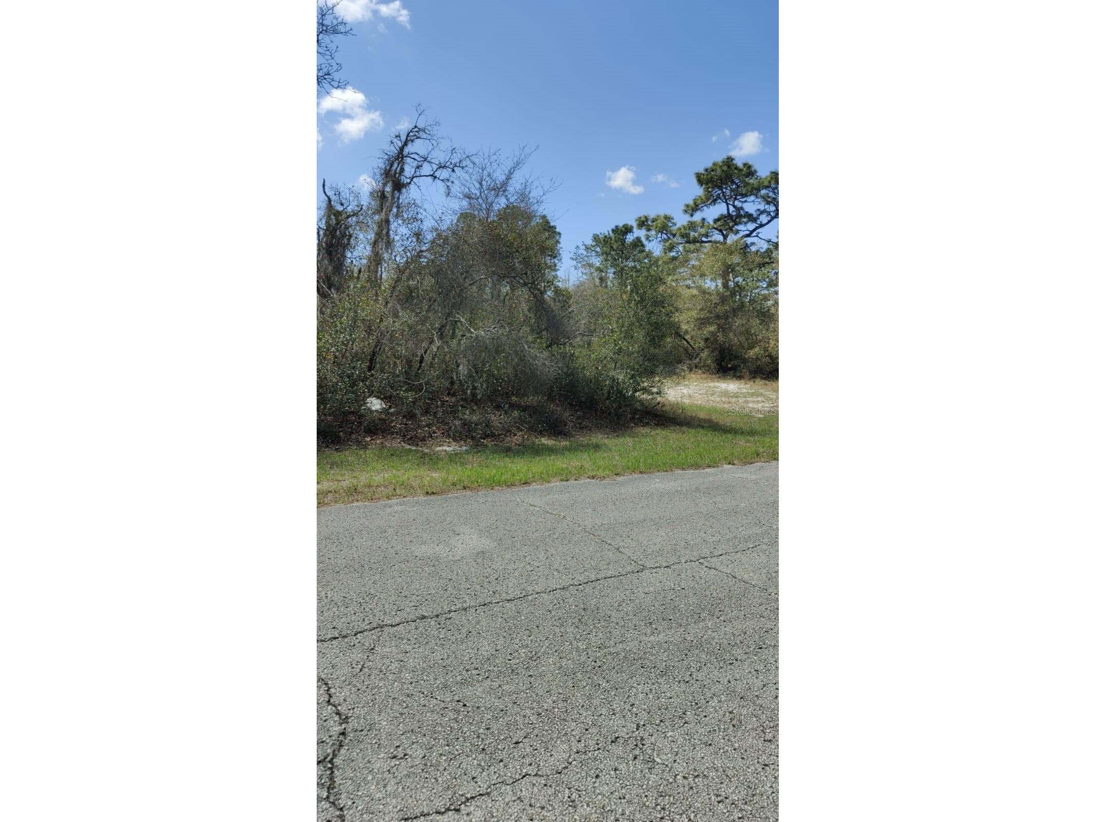 408 Vernon Court Kissimmee FL 34759 S5150086 image2