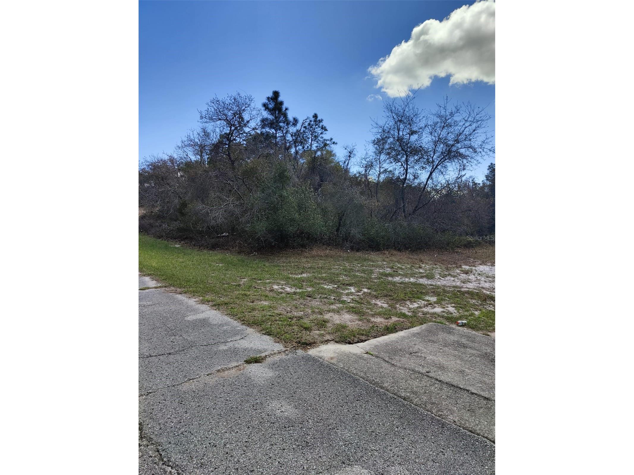 408 Vernon Court Kissimmee FL 34759 S5150086 image3
