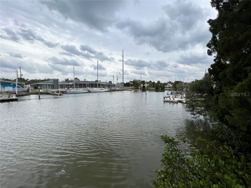 4081 Flamingo Boulevard Hernando Beach FL 34607 - DIRECT GULF ACCESS W7843563 image1