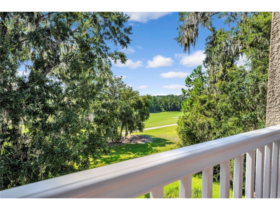 4081 Southern Valley Loop Brooksville FL 34601 TB8411063 image48