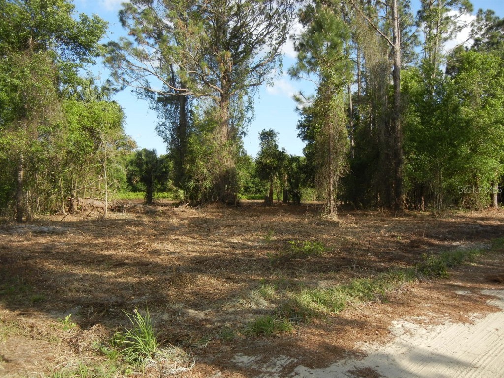 40826 Bridle Path Lane Leesburg FL 34788 G5066594 image1