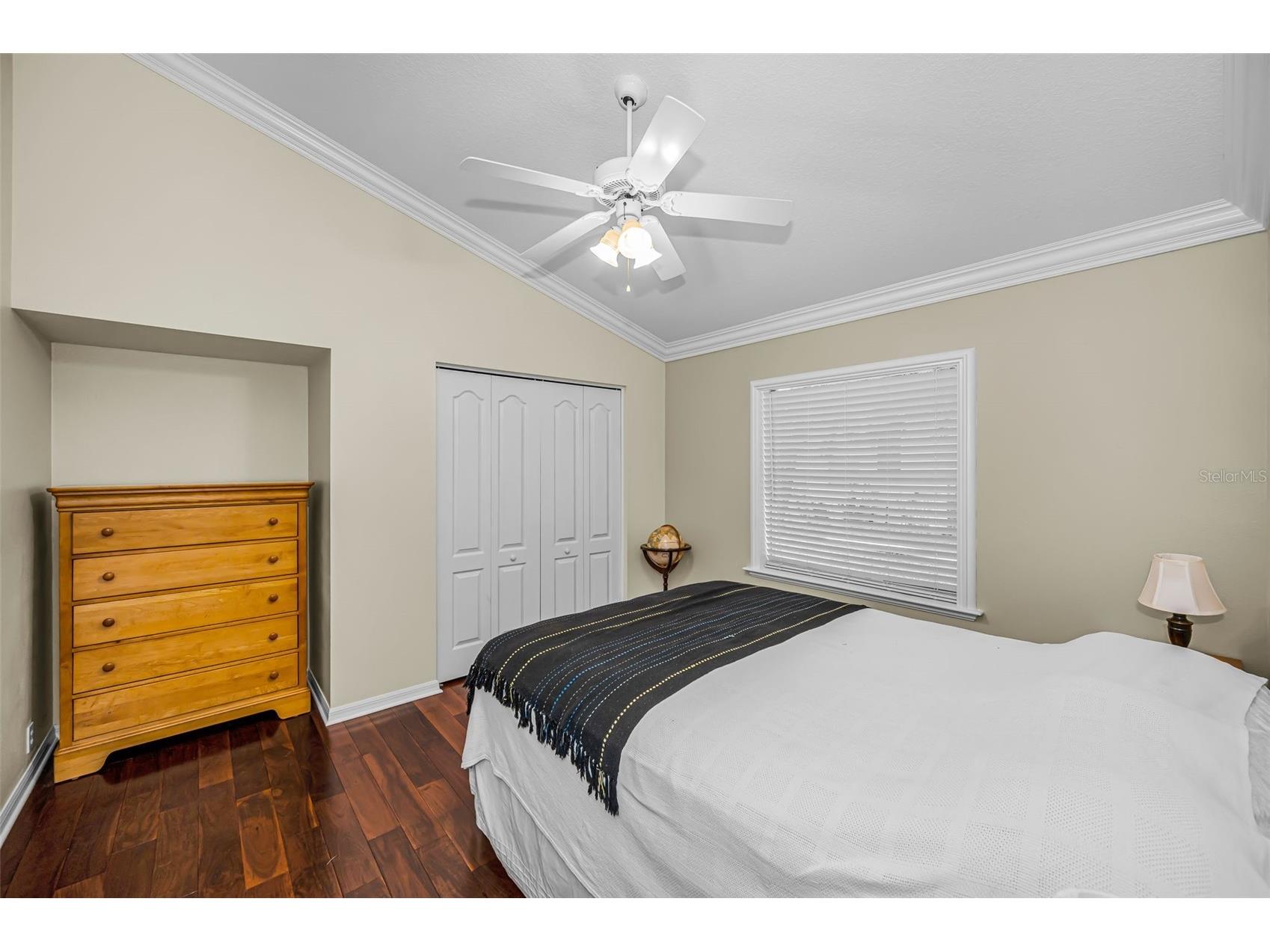 4084 Ligustrum Drive Palm Harbor FL 34685 TB8526056 image19