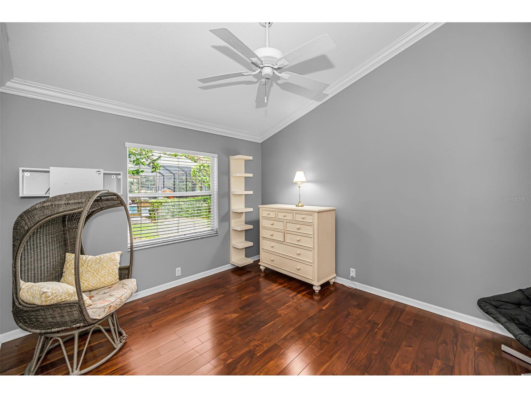 4084 Ligustrum Drive Palm Harbor FL 34685 TB8526056 image20