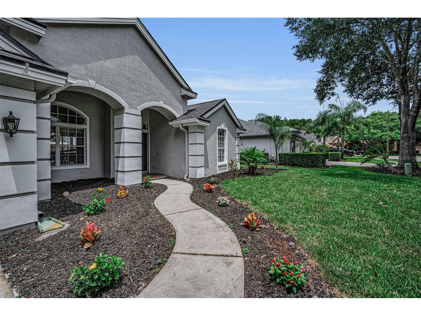 4084 Ligustrum Drive Palm Harbor FL 34685 TB8526056 image4